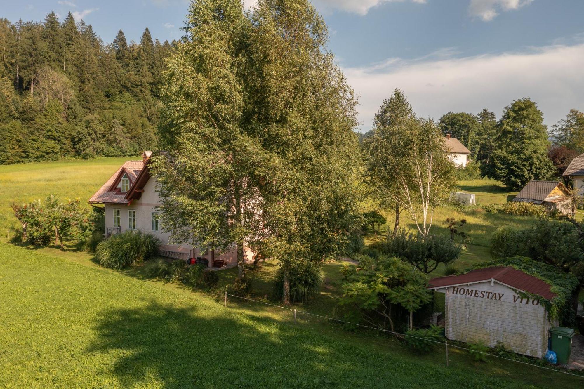 Homestay Vito By Lake Bled Exterior photo